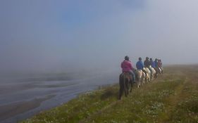 Husey Hostel & Horsefarm